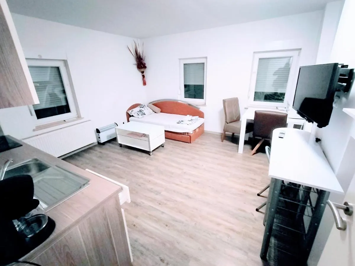 Apartmán Fmi33 Next To Airport Kelsterbach Německo
